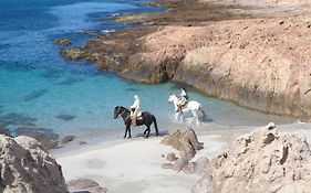 Bahia Bustamante Lodge